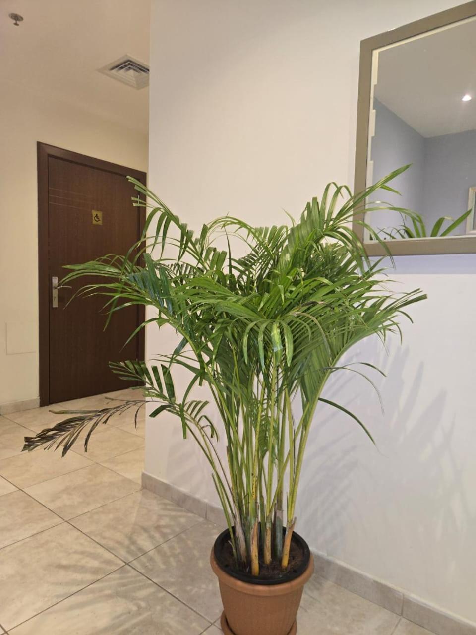 Al Raya Hotel Apartments Дубай Екстериор снимка
